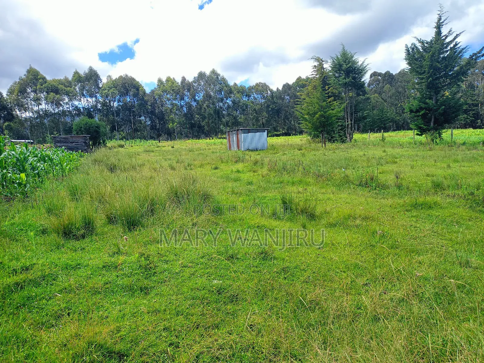 18 Acres for Sale