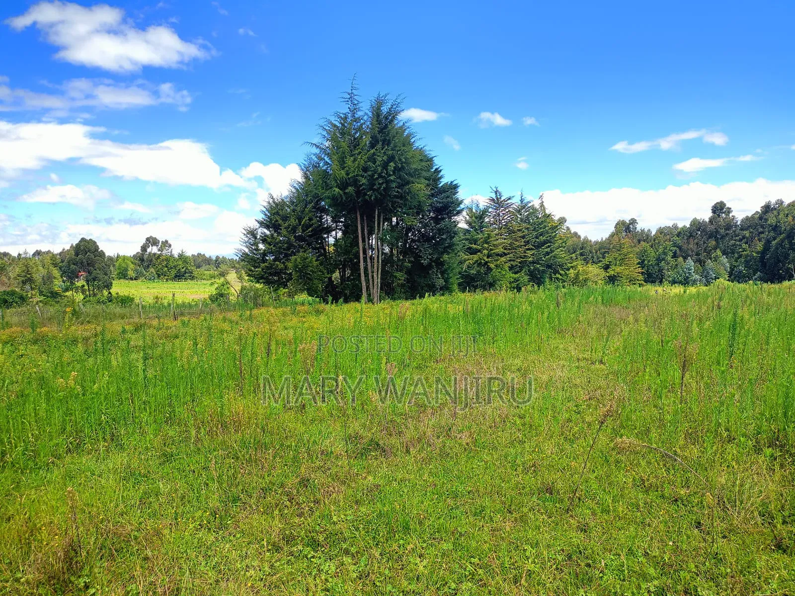 18 Acres for Sale
