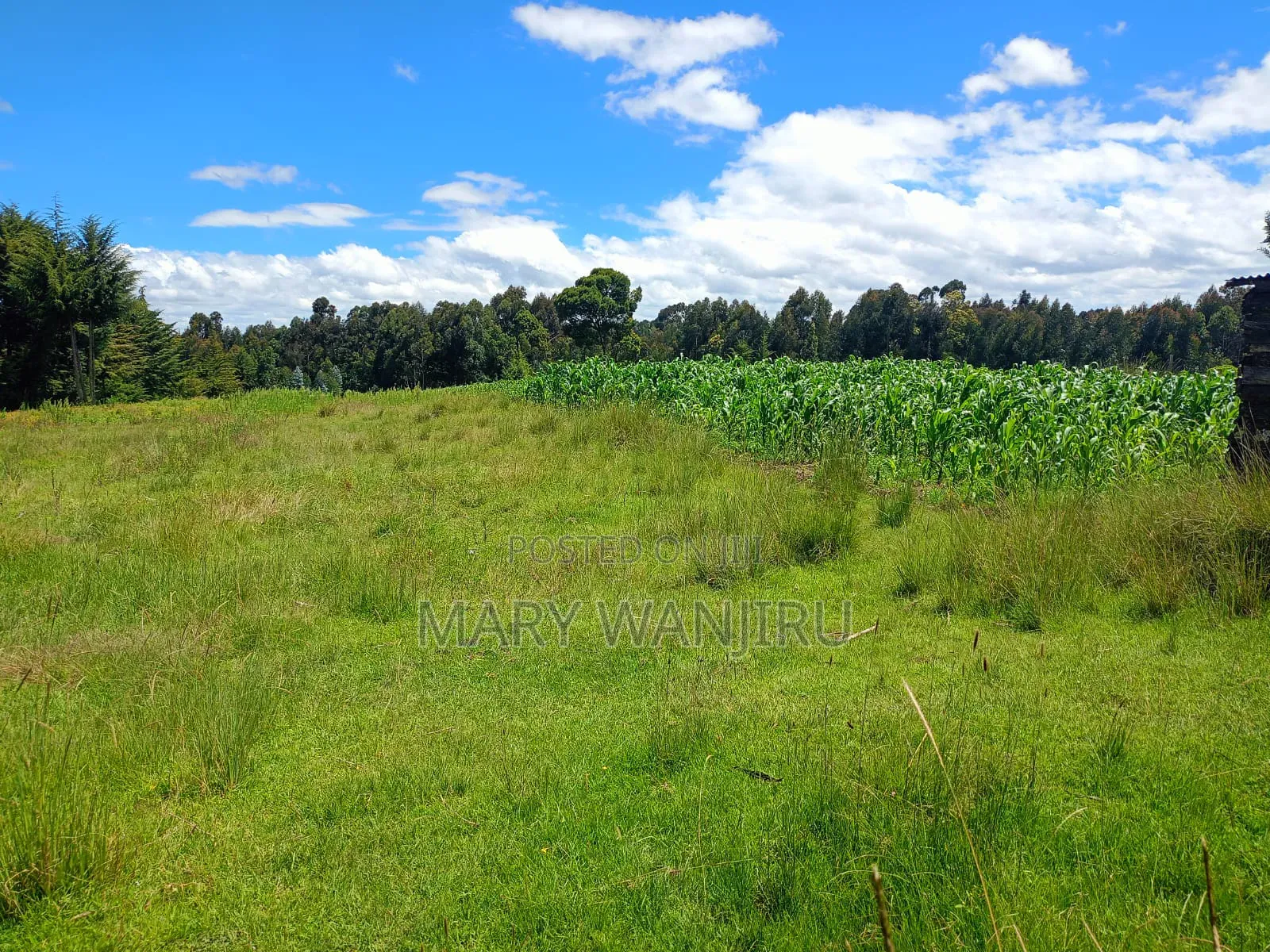 18 Acres for Sale