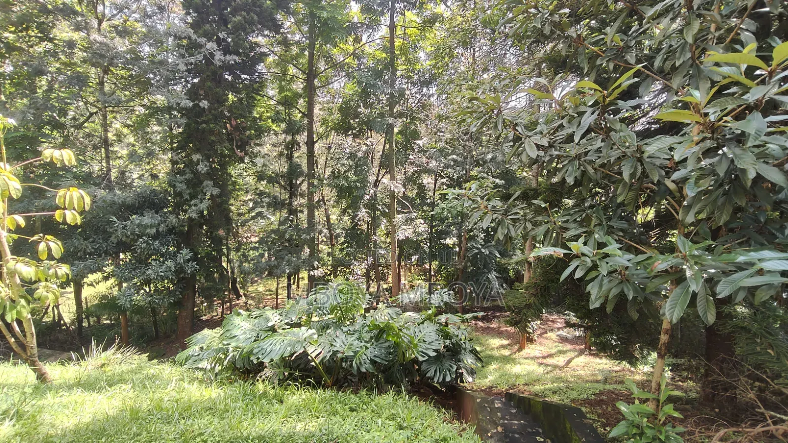 .87 Acres Land for Sale in Kyuna