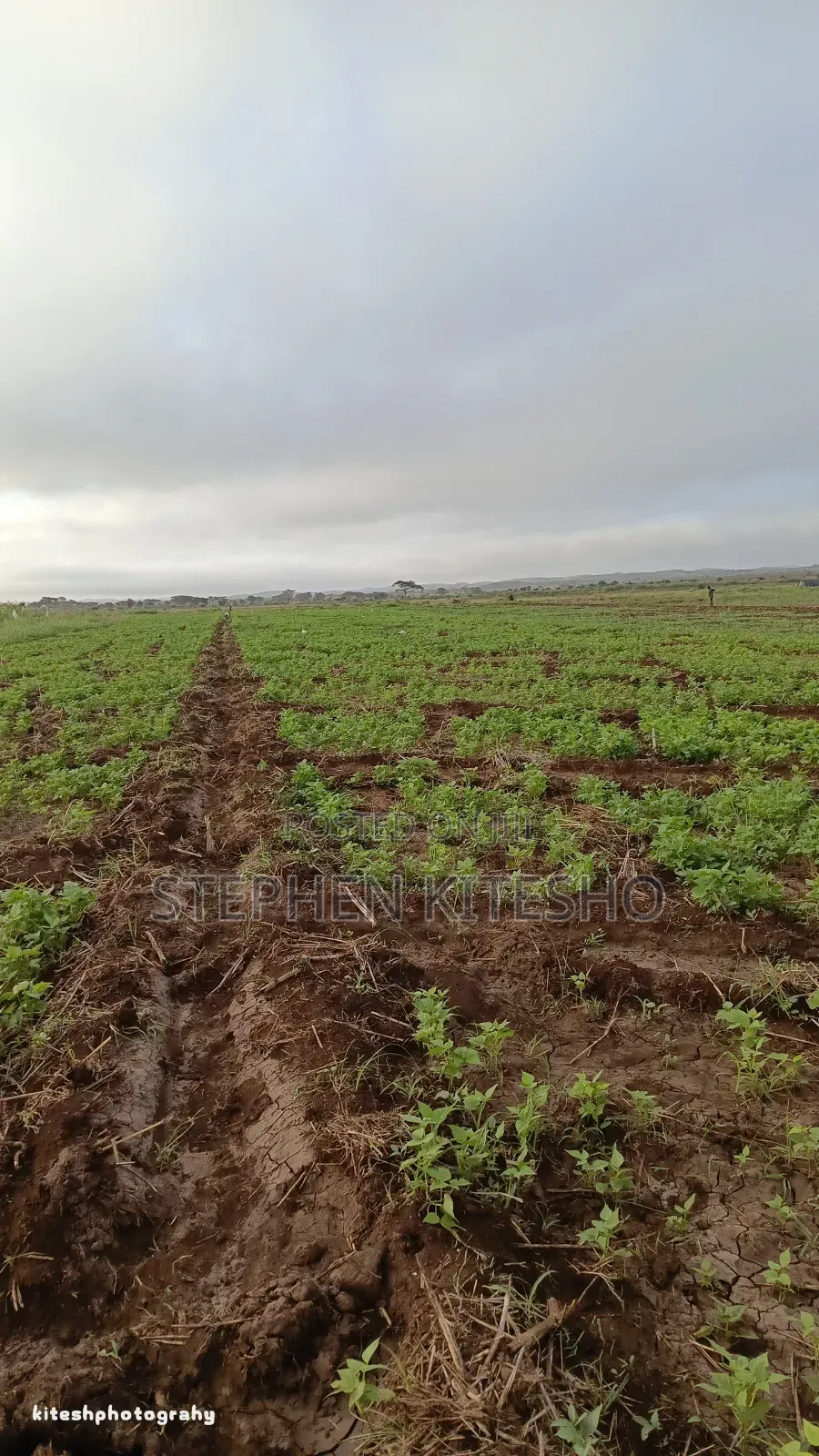 Land for Sale at Loitoktok Kimana Area