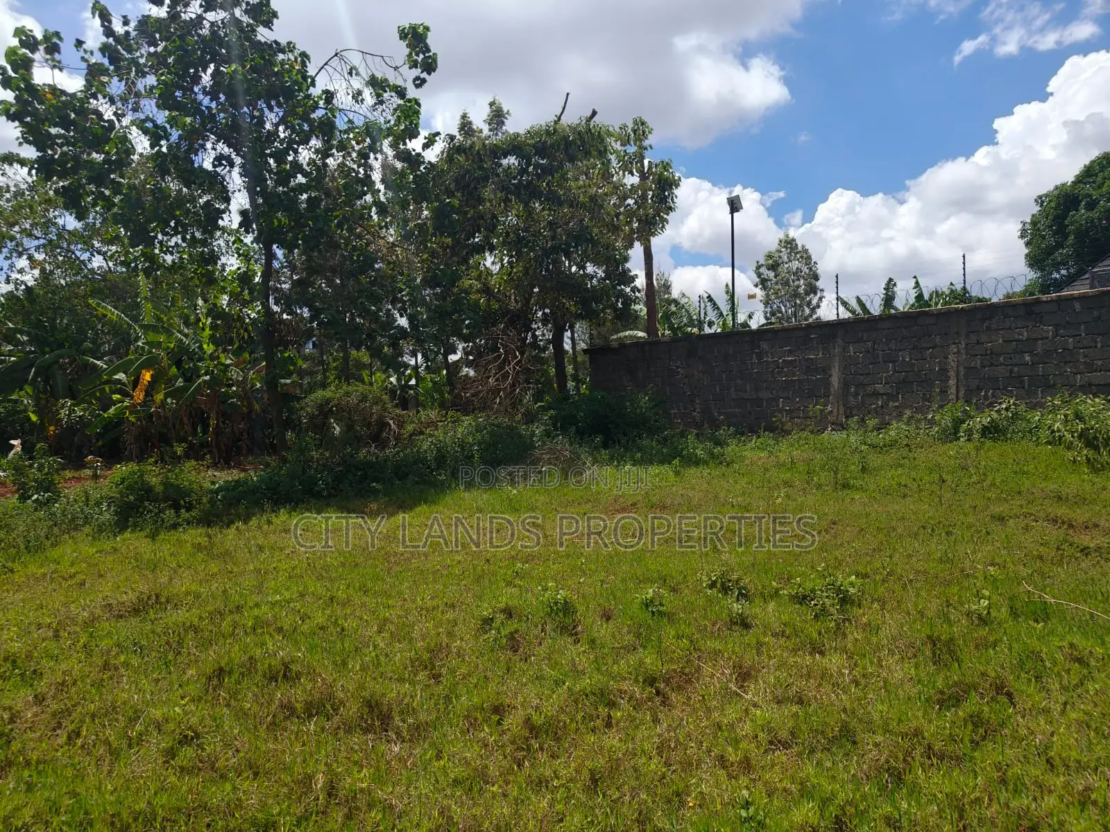 Residential Plots in Ruiru Mugutha, Ready Title Deeds