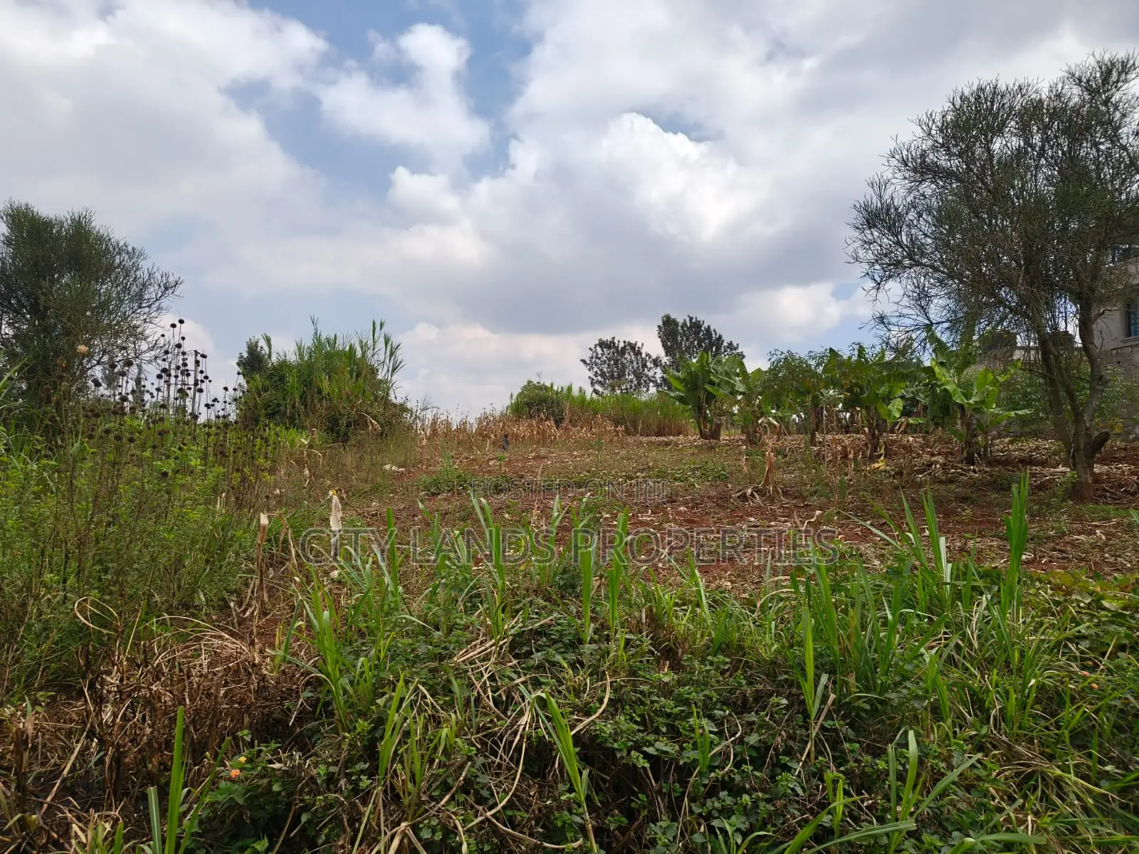 Ruiru Dam Ridge Plots Along Kimbo Gatundu Road1.5km From Tarmarc