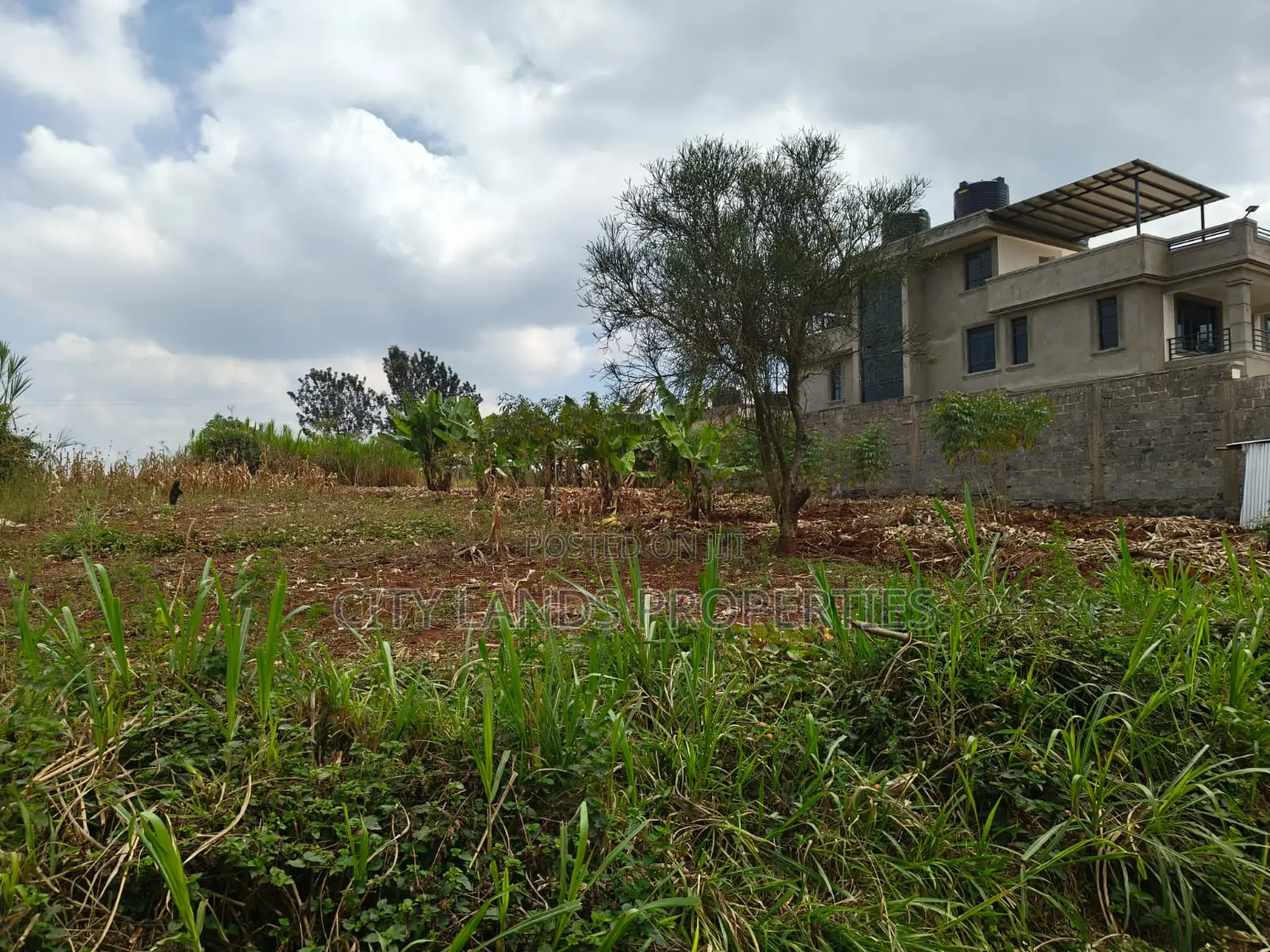 Ruiru Dam Ridge Plots Along Kimbo Gatundu Road1.5km From Tarmarc