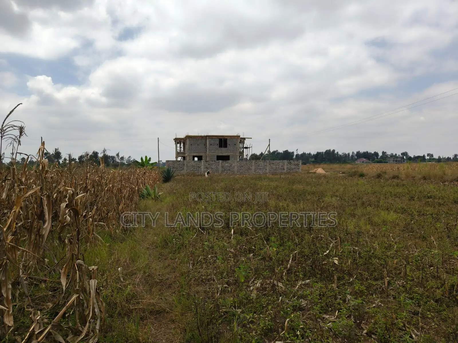 Ruiru Dam Ridge Plots Along Kimbo Gatundu Road1.5km From Tarmarc