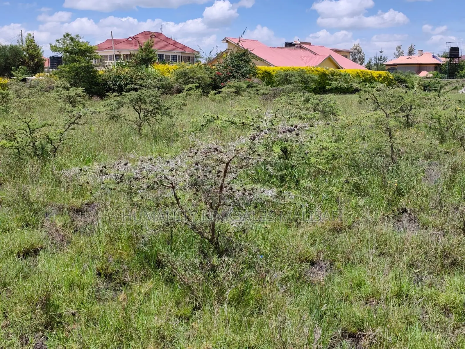 50 by 100 6m. Syokimau Pridelands Area. 200m From Tarmac