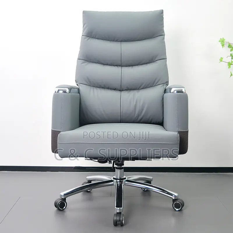 Director's Executive Chair.