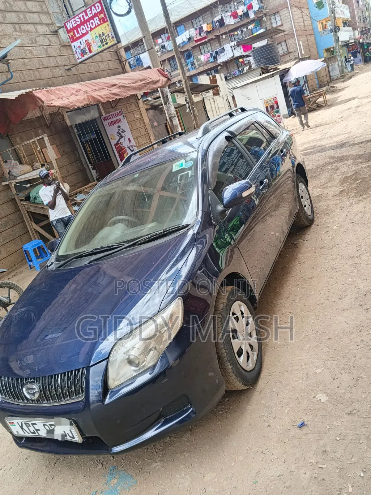 Toyota Corolla Fielder 2010 Blue