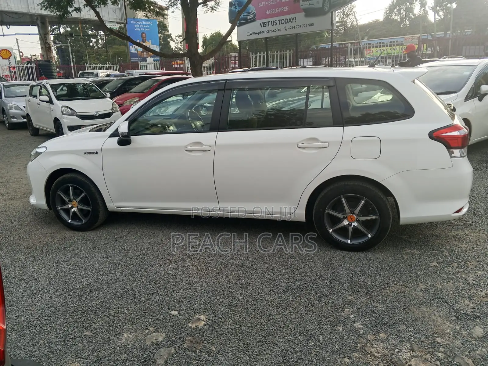 Toyota Corolla Fielder 2019 White