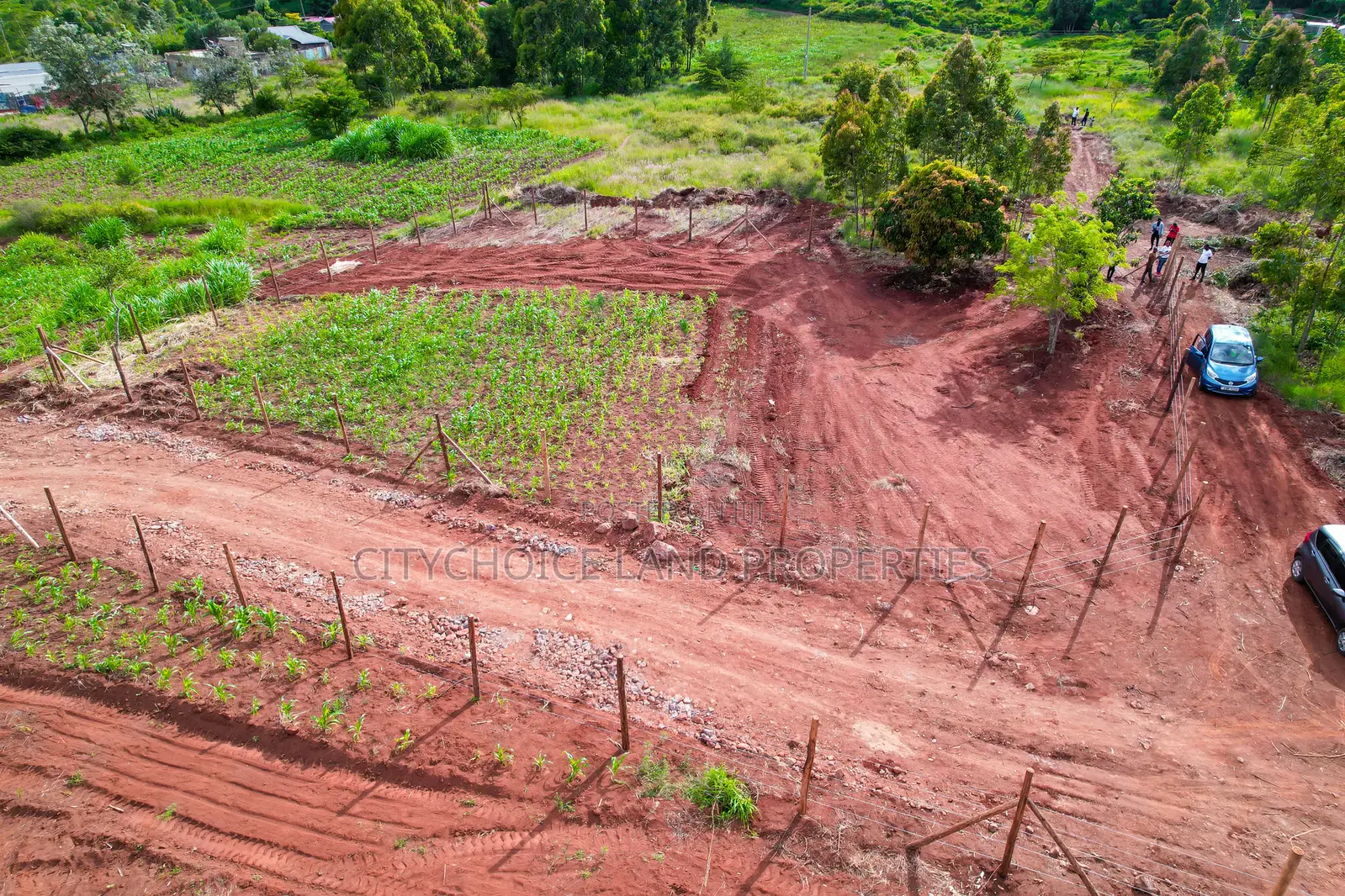 Prime Residential Plot 300m From Tarmac in Kamangu