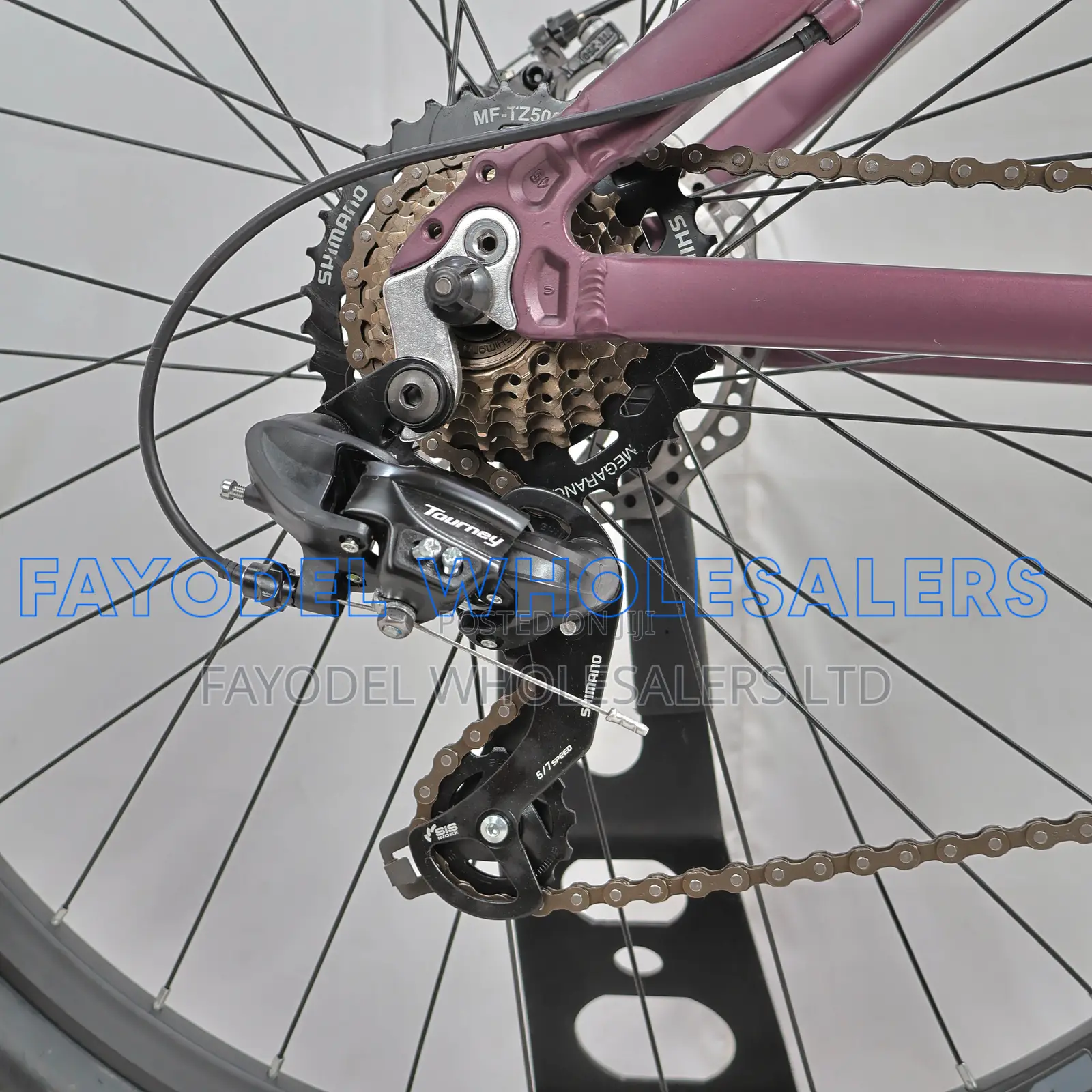 Wild Mountain Bicycle for Men and Women