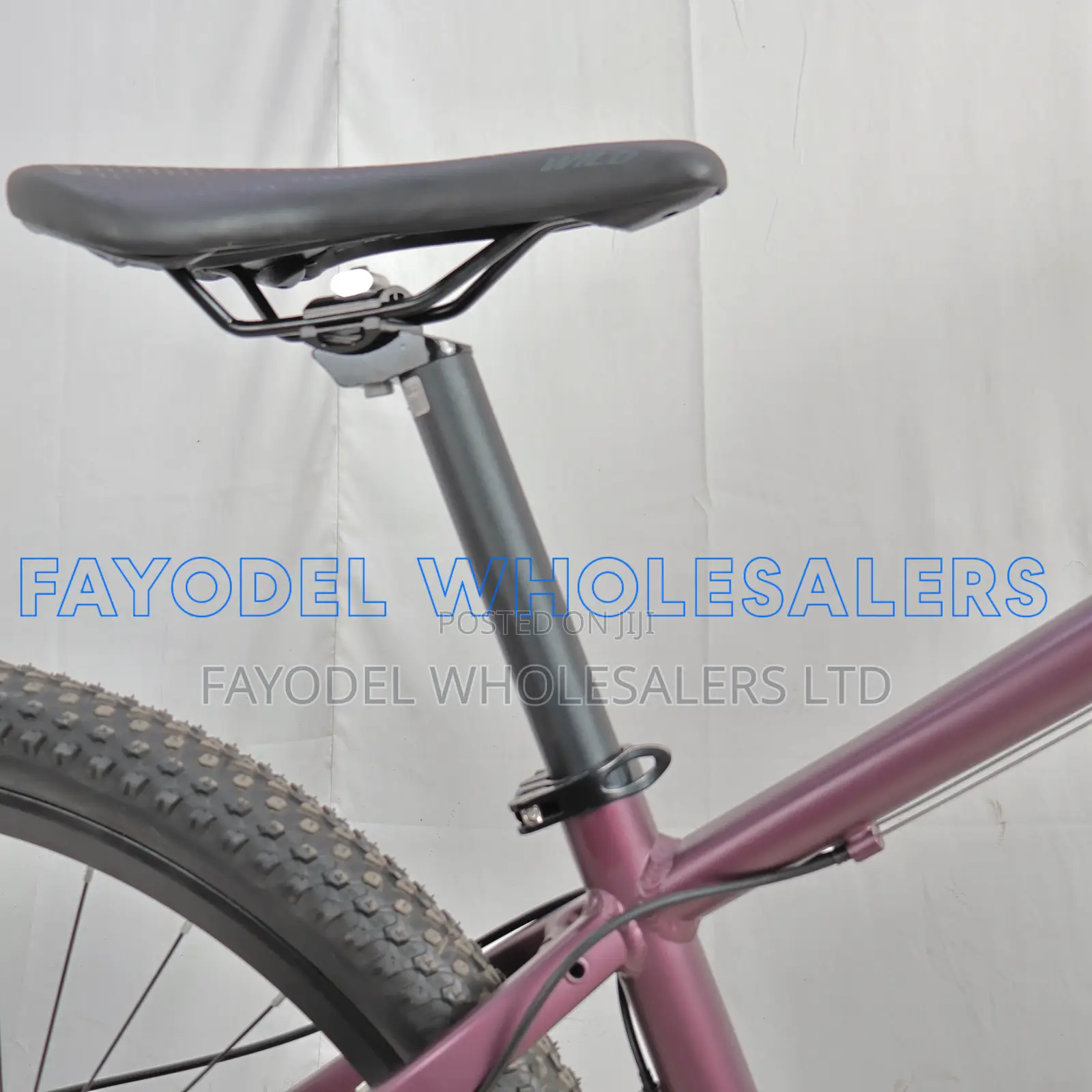 Wild Mountain Bicycle for Men and Women