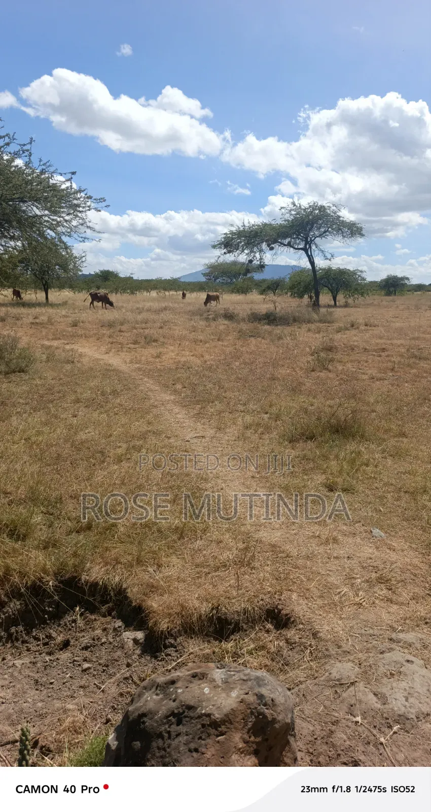 10acre at Nguluni