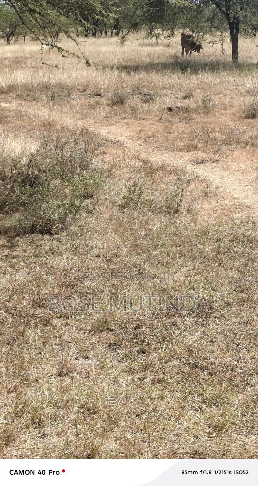 10acre at Nguluni