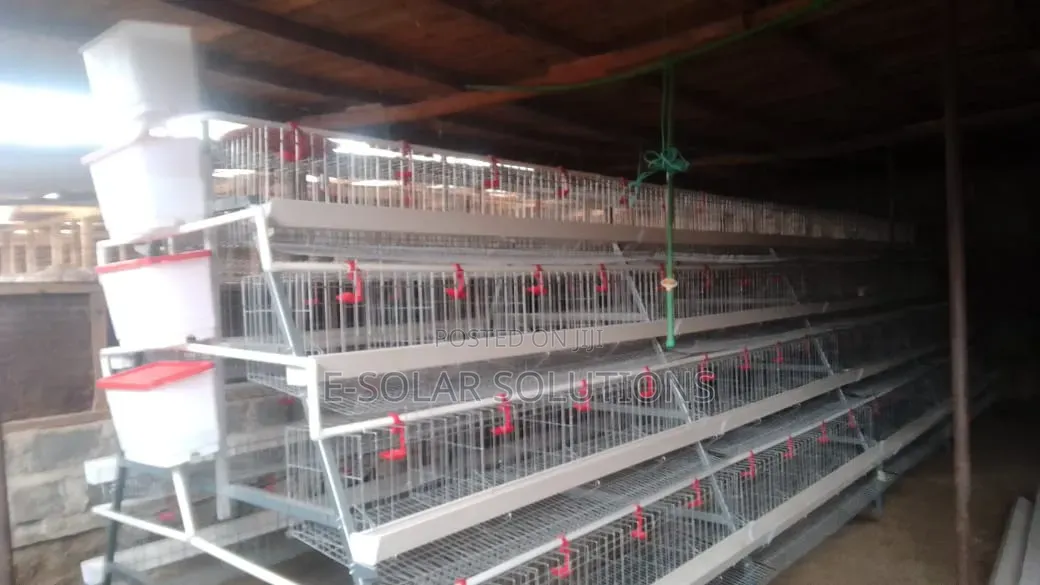 128 Birds Cages