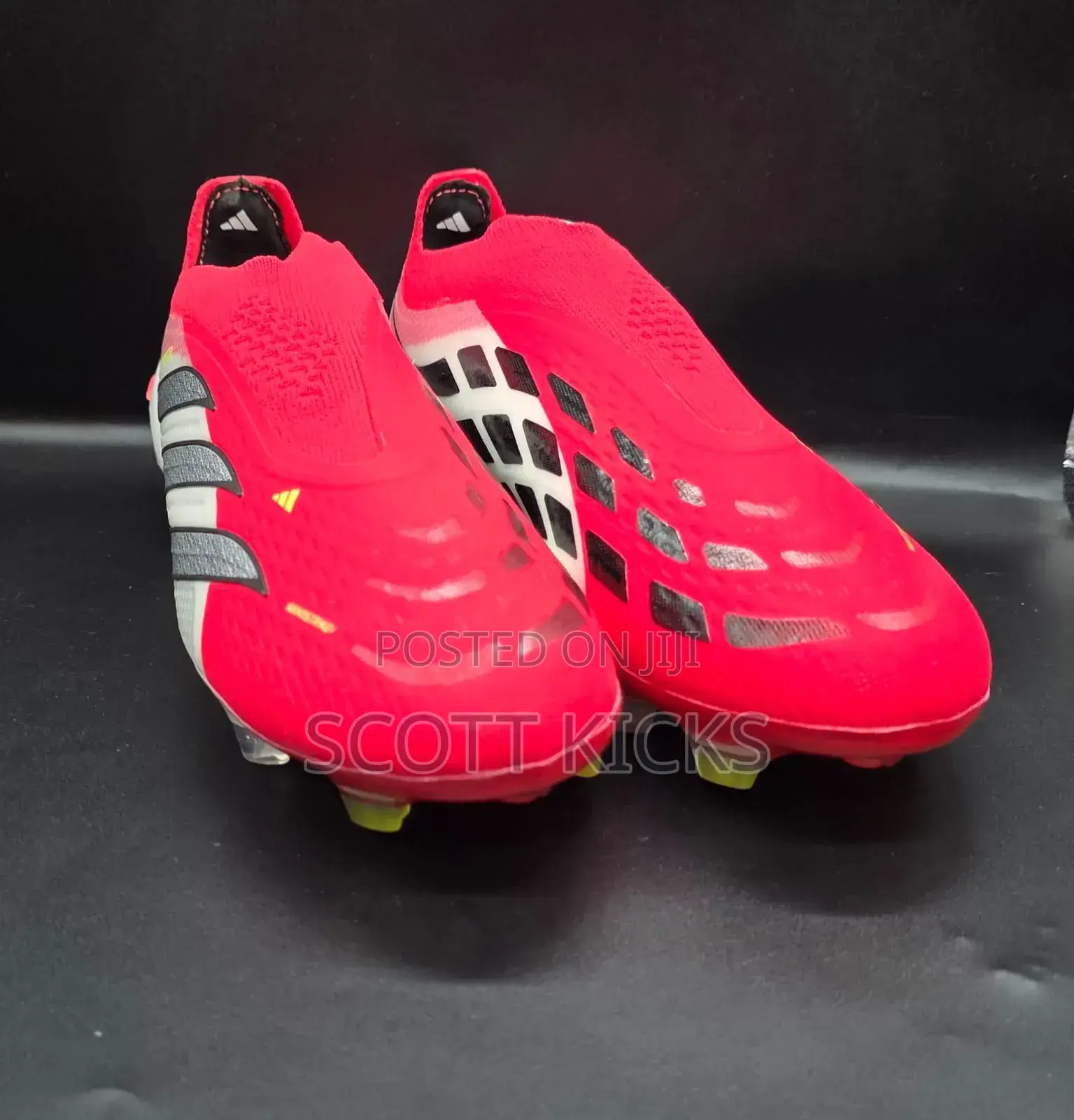 Predator 26 Spine Laceless
