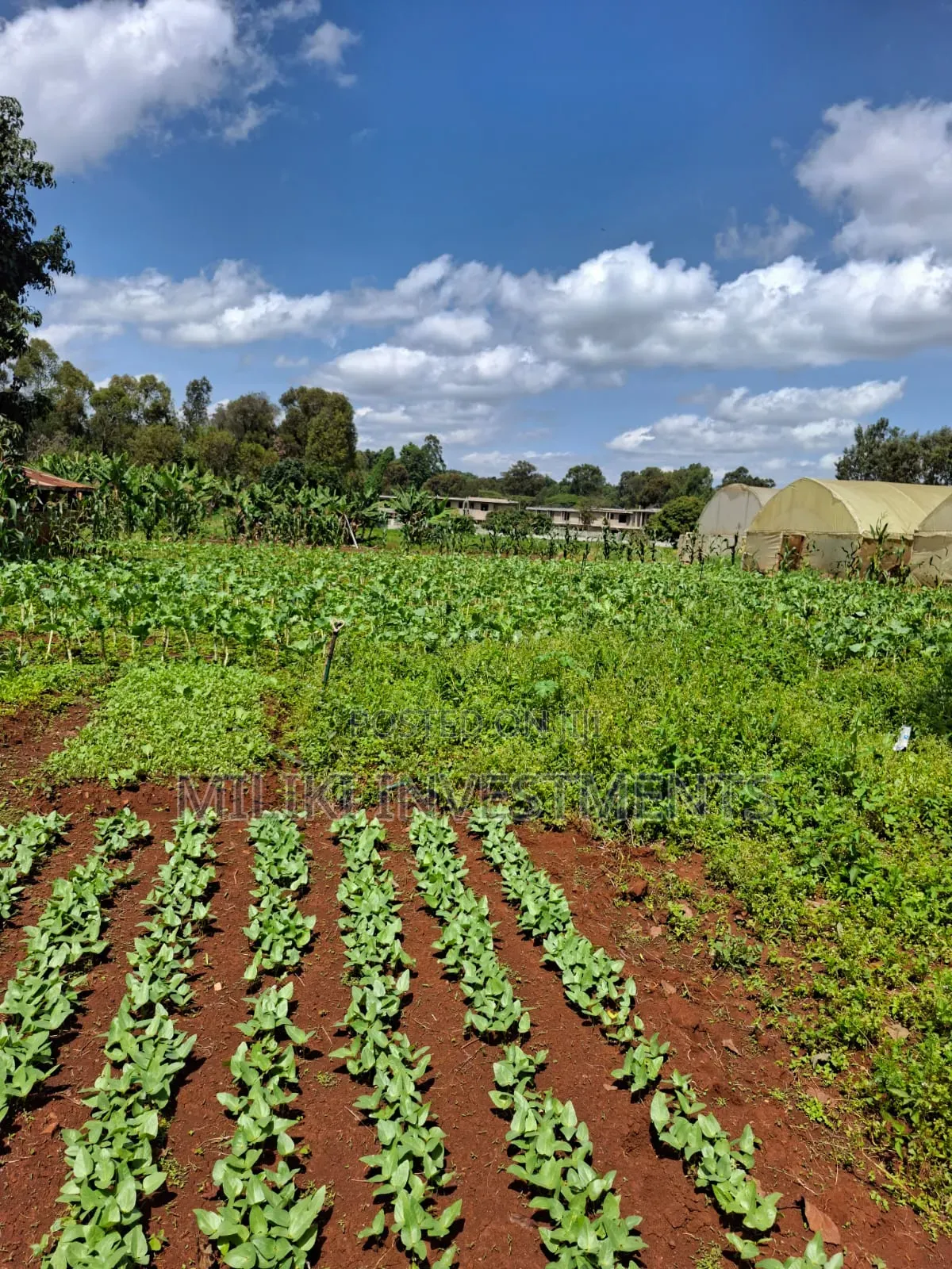 Prime Half an Acre on Sale at Karen