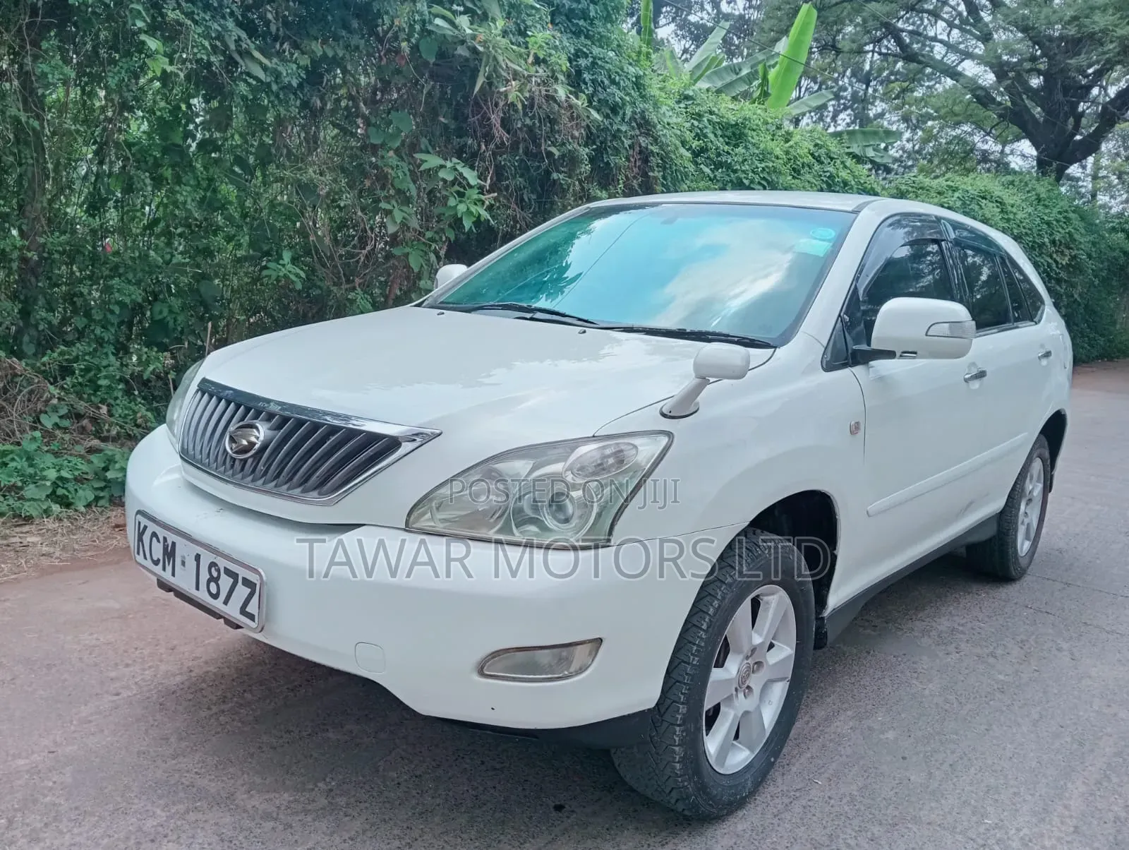 Toyota Harrier 2010 White