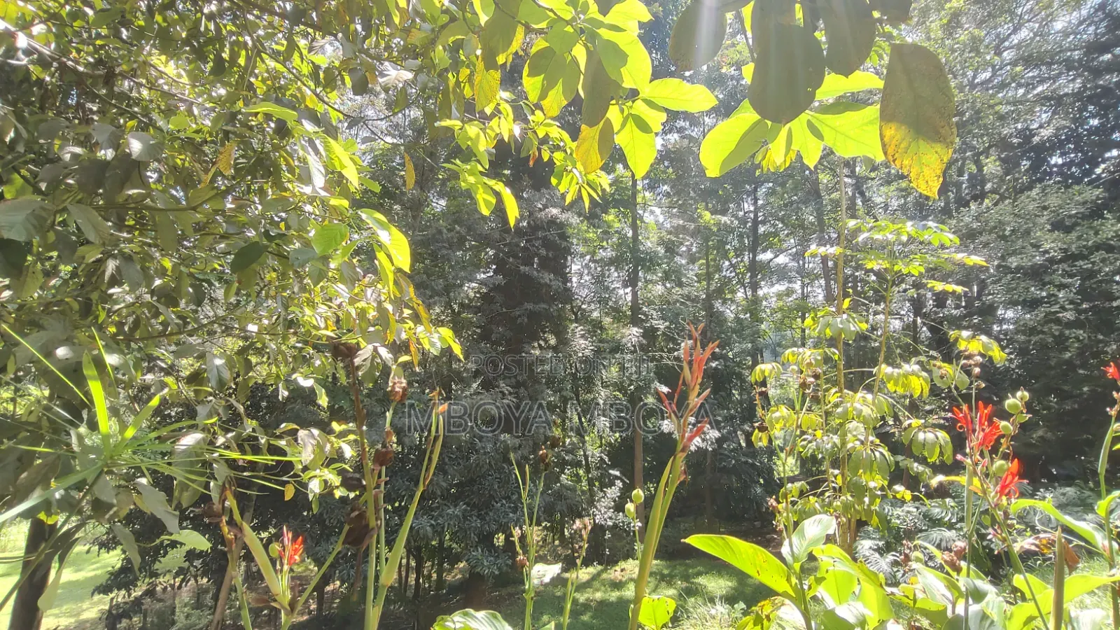 1.25acre Land for Sale in Kilimani