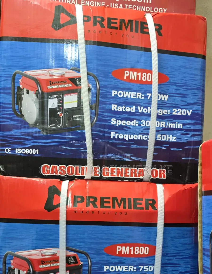 Convenient Gasoline 750w Generator