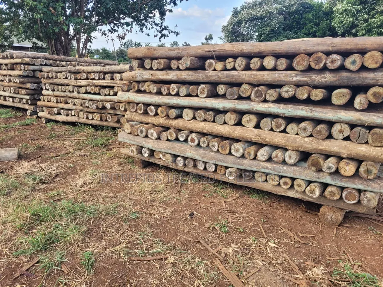 Treated Wooden Poles 8ft/2.4m (5-6inches)