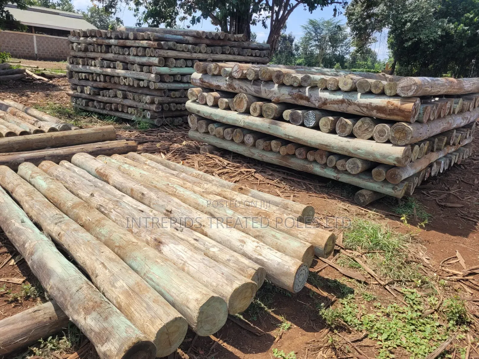 Treated Wooden Poles 10ft/3m (4-5 5-6inches Diameter)