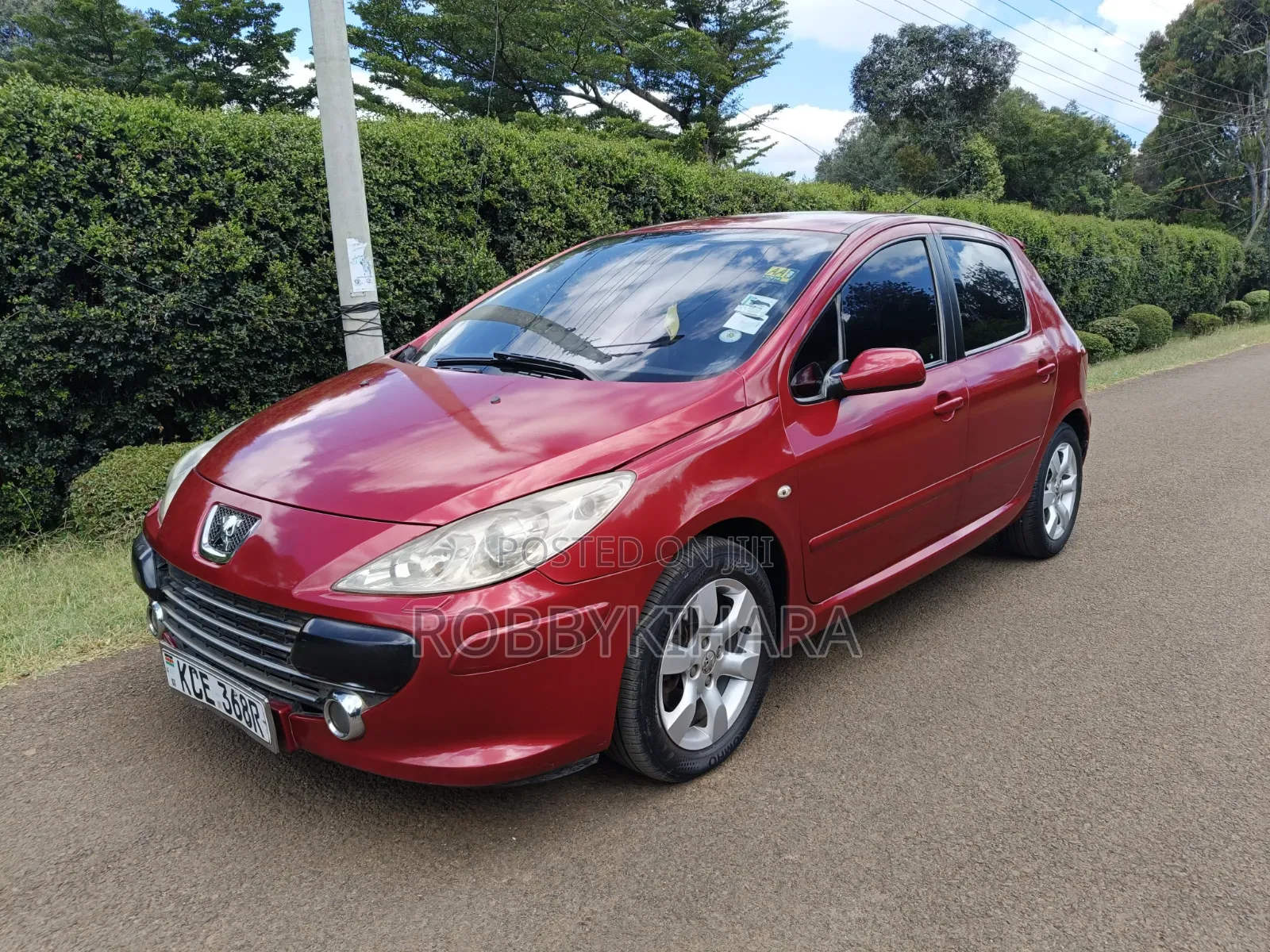 Peugeot 307 2008 Red