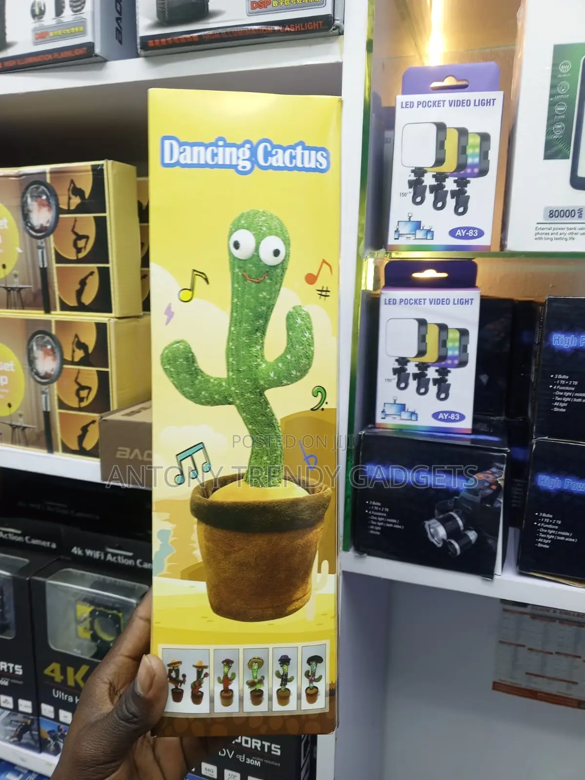 Musical Dancing Cactus Toy With Voice Mimic Function