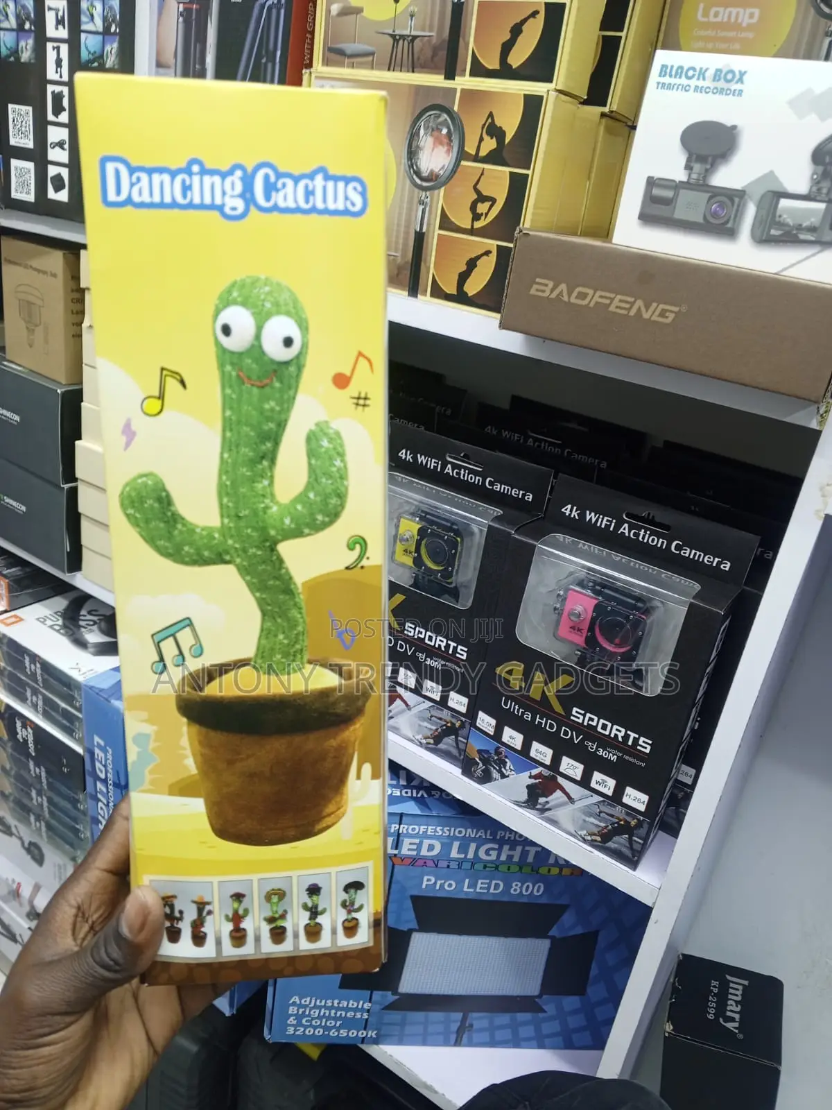 Funny Dancing Cactus Plush Doll With Recording Feature