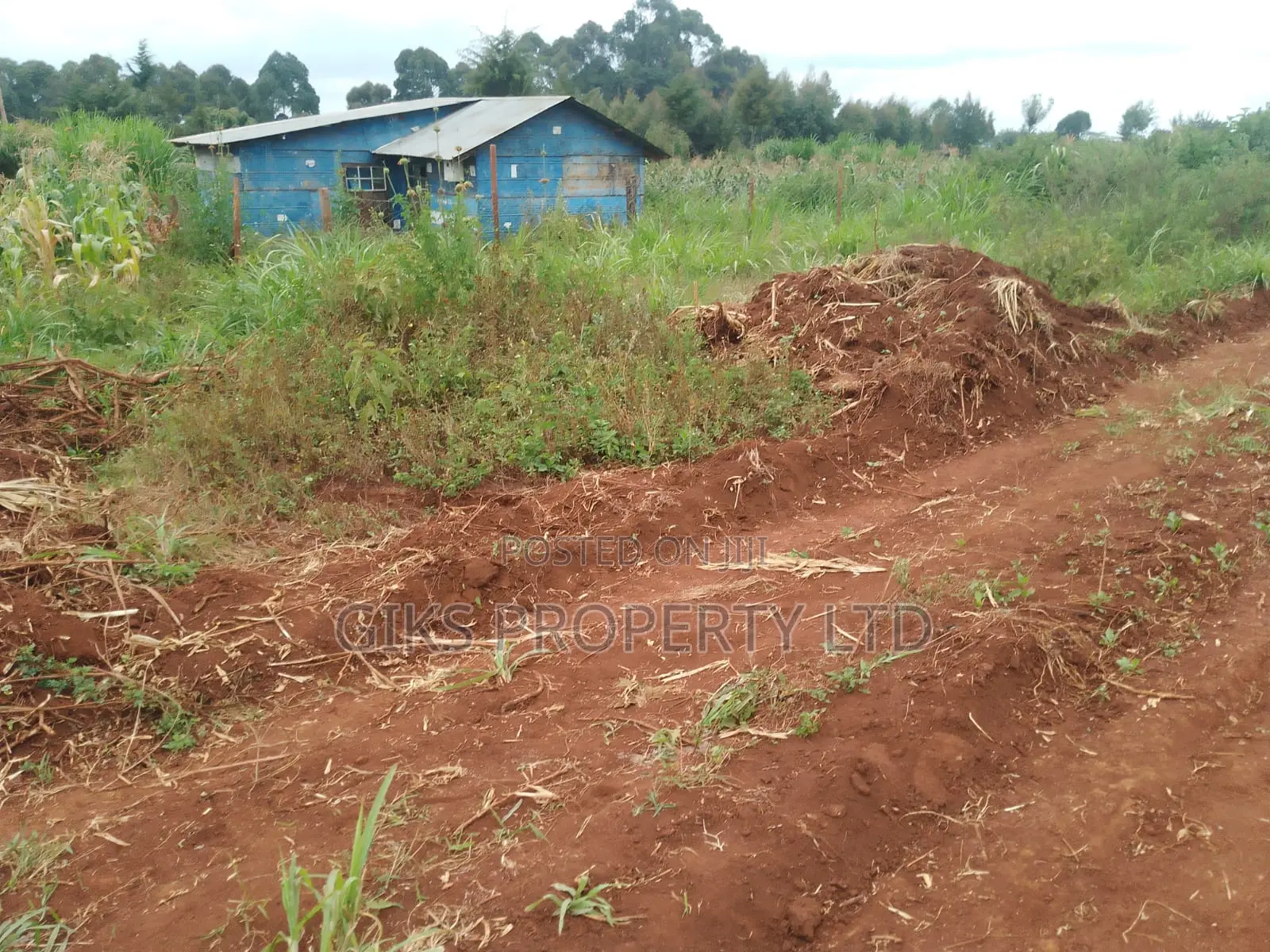 Plot for Sale