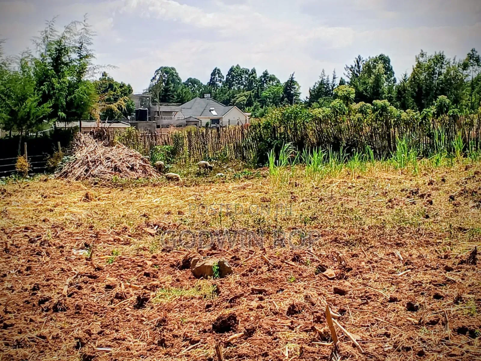 3 Points Land for Sale in Eldoret Kapsaret Lemook