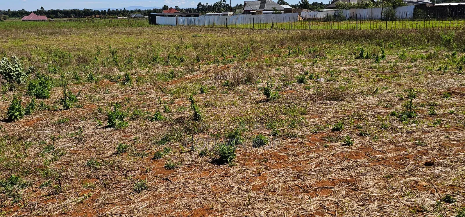 Plots For Sale In Eldoret Chepkanga Chemaluk