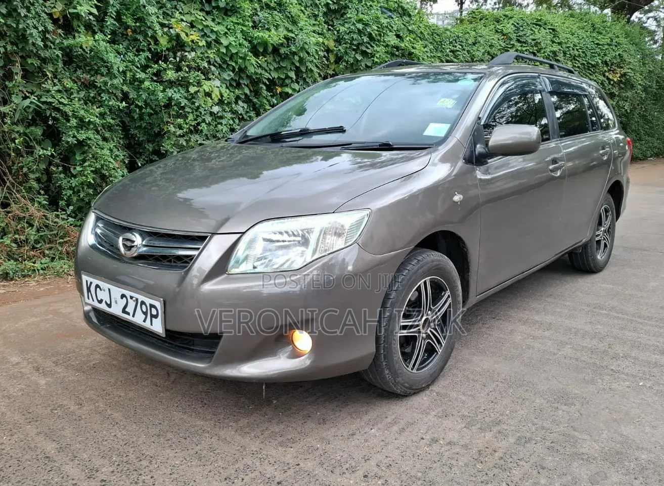 Toyota Corolla Fielder 2010 Brown