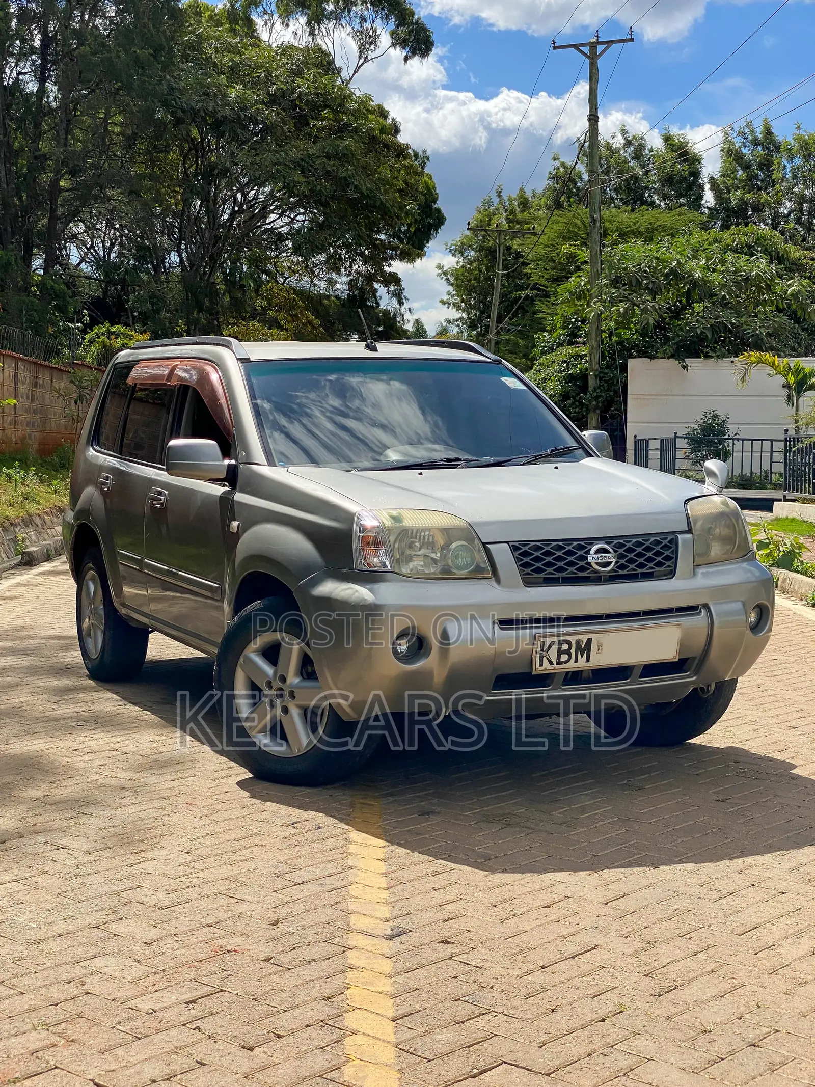 Nissan X-Trail 2.0 2003 Brown