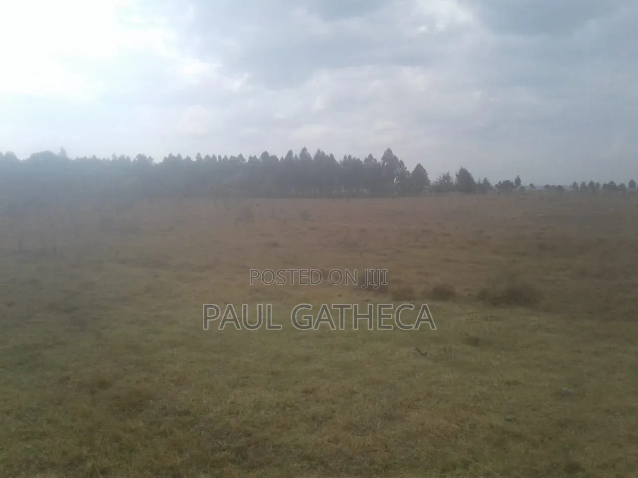 Agricultural Land for Sale