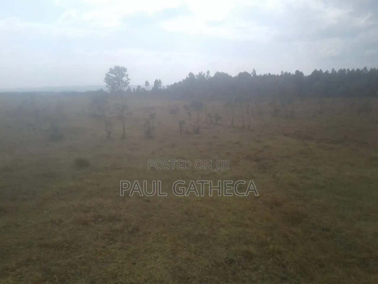 Agricultural Land for Sale