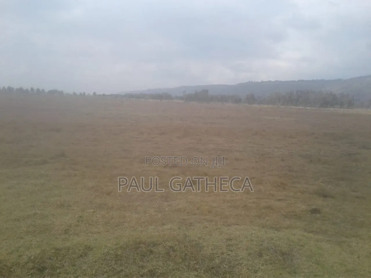Agricultural Land for Sale
