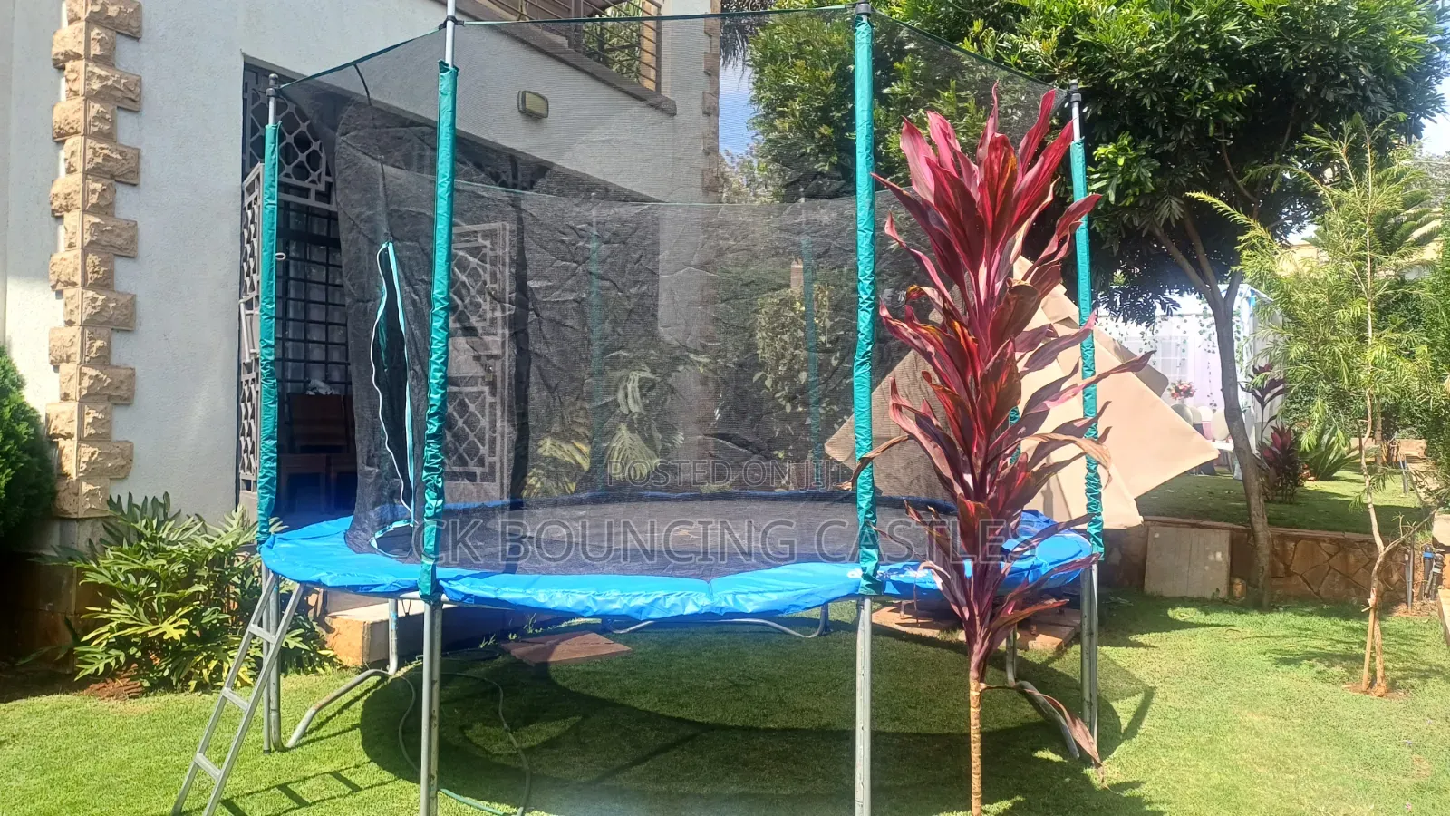 Trampolines Available for Hire