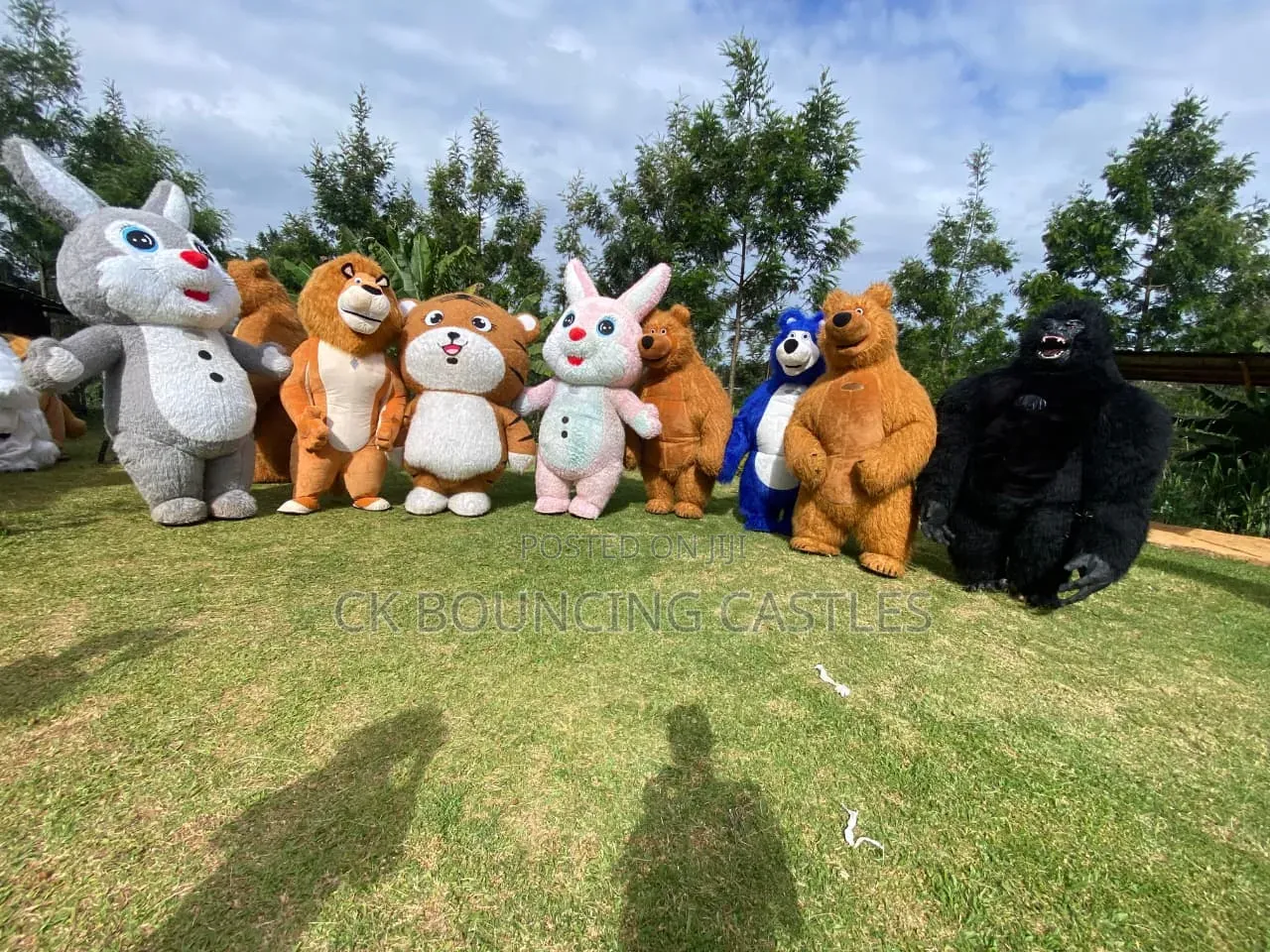 Inflatable Bears/Mascots for Hire