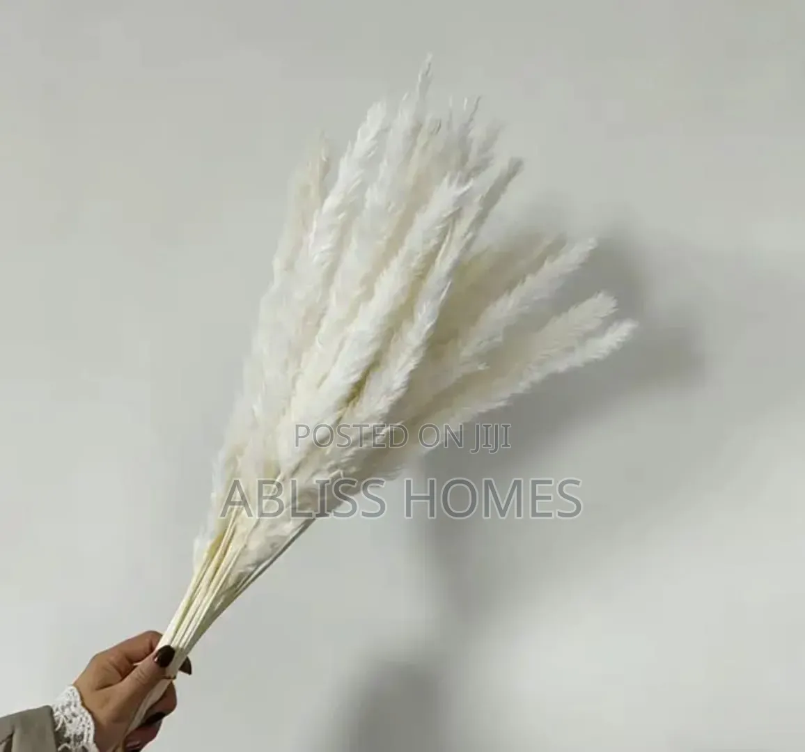 Dried Mini Pampas Grass