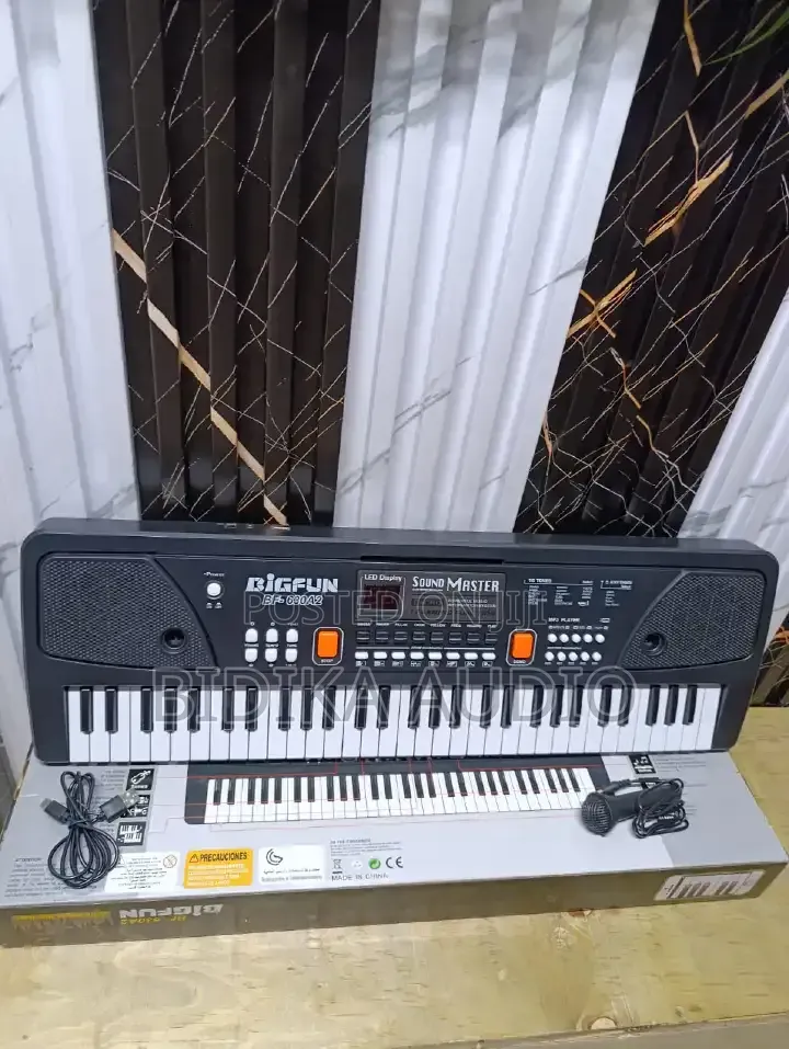 Bigfun Piano Keyboard With Microphone