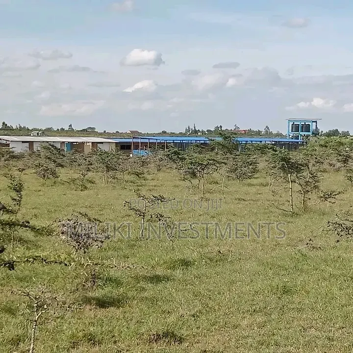 5 Acres on Sale at Kisearian-Sholinke