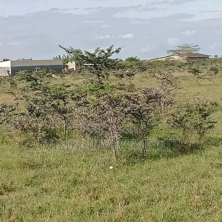 5 Acres on Sale at Kisearian-Sholinke