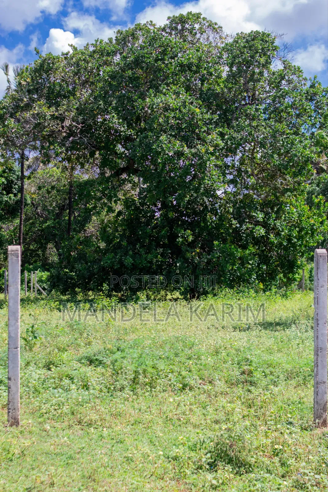 1/3 Acre Plot For Sale Bofa|Kichinjioni Road