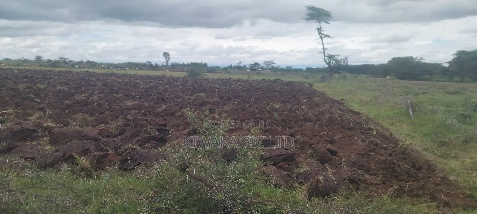 8000 Acres for Sale Rumuruti, Laikipia County