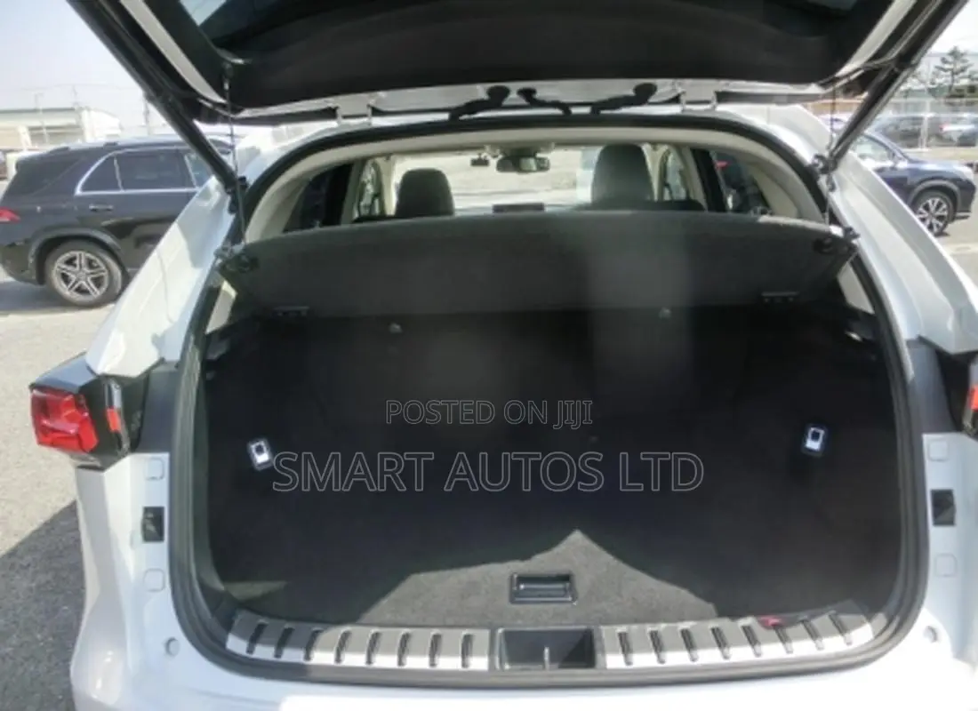 Lexus NX 2019 White