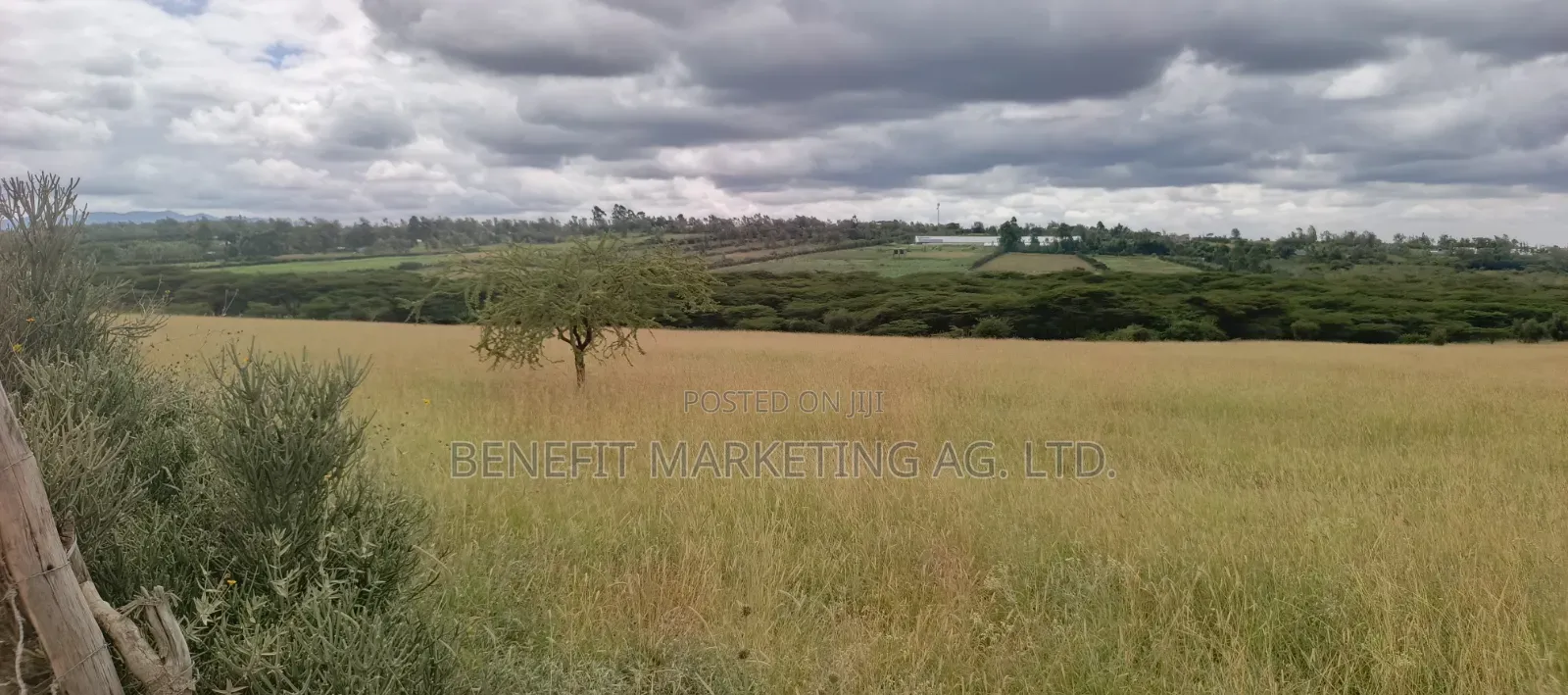 15 Acres for Sale in Kiserian