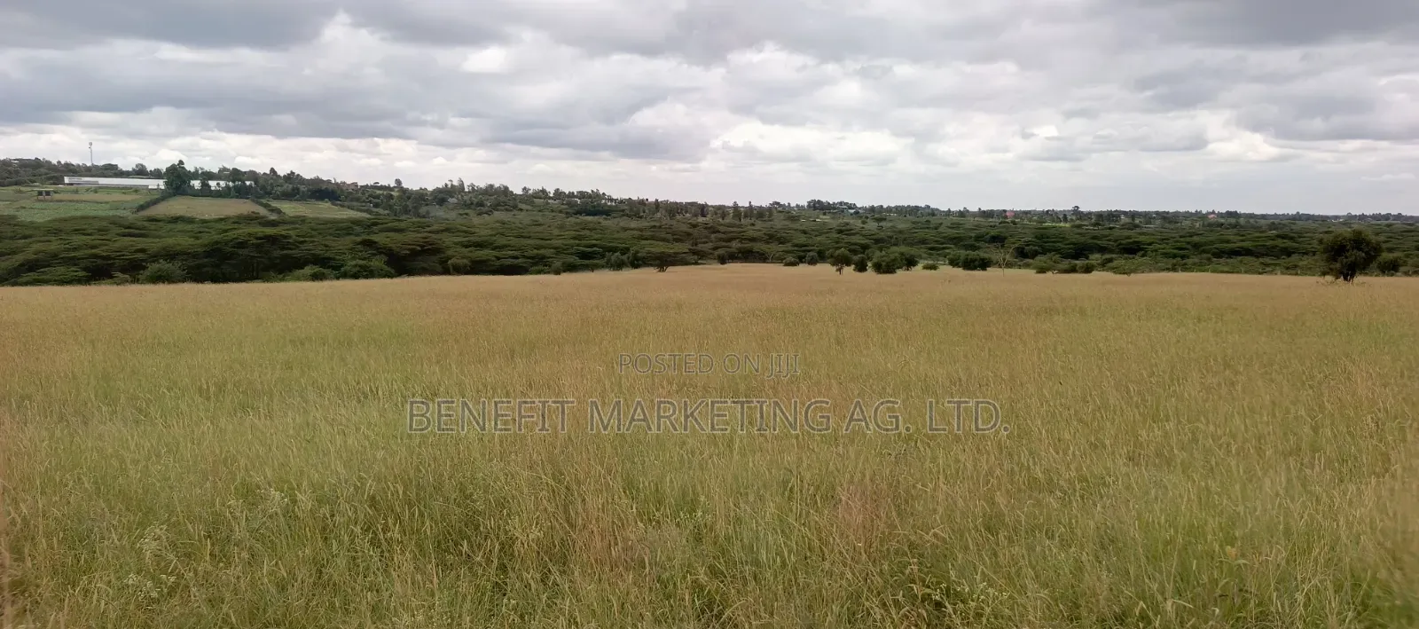 15 Acres for Sale in Kiserian