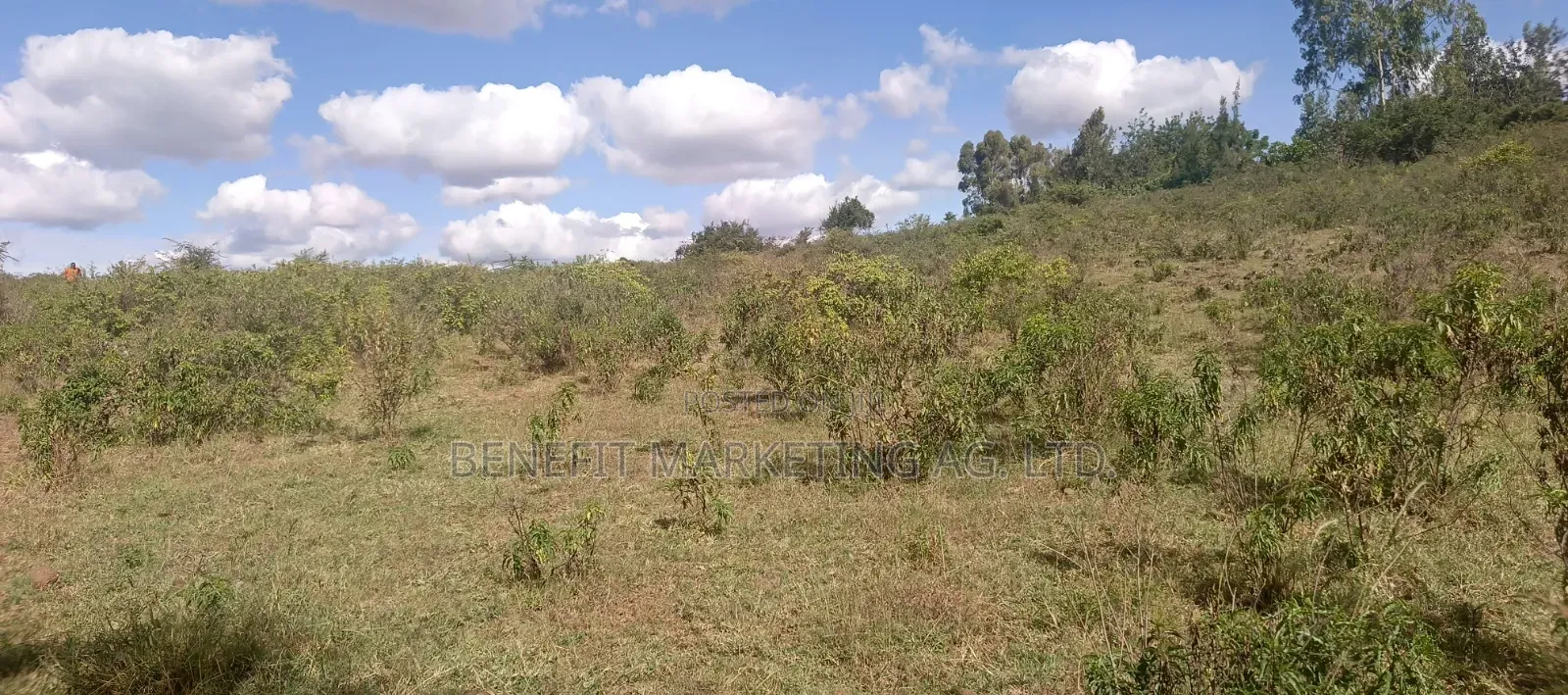 5.75 Acres for Sale in Kiserian, 700 Metres From Tarmac