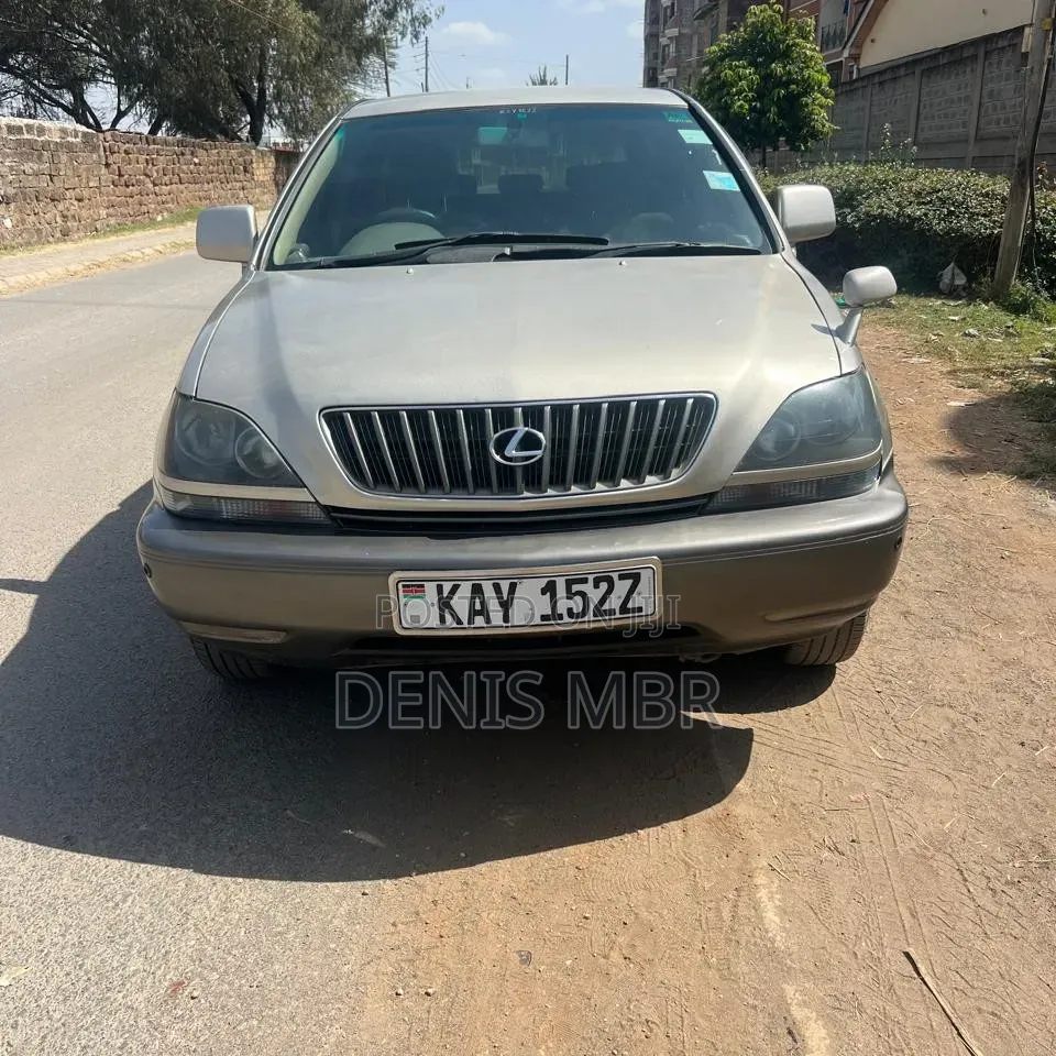 Toyota Harrier 2002 Gray